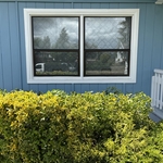 Lawn and Yard Work Project