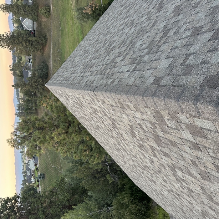 Roofing Project