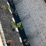 Landscaping Project