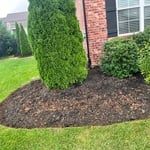 Landscaping Project
