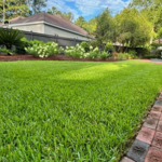Lawn Care
