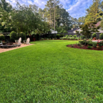 Lawn Care