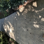 Driveway Cleaning