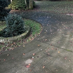 Driveway Cleaning