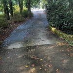 Driveway Cleaning