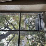 Windows Project