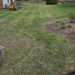 Before edging plant beds