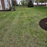 Spring Cleanup and Mulch Installation