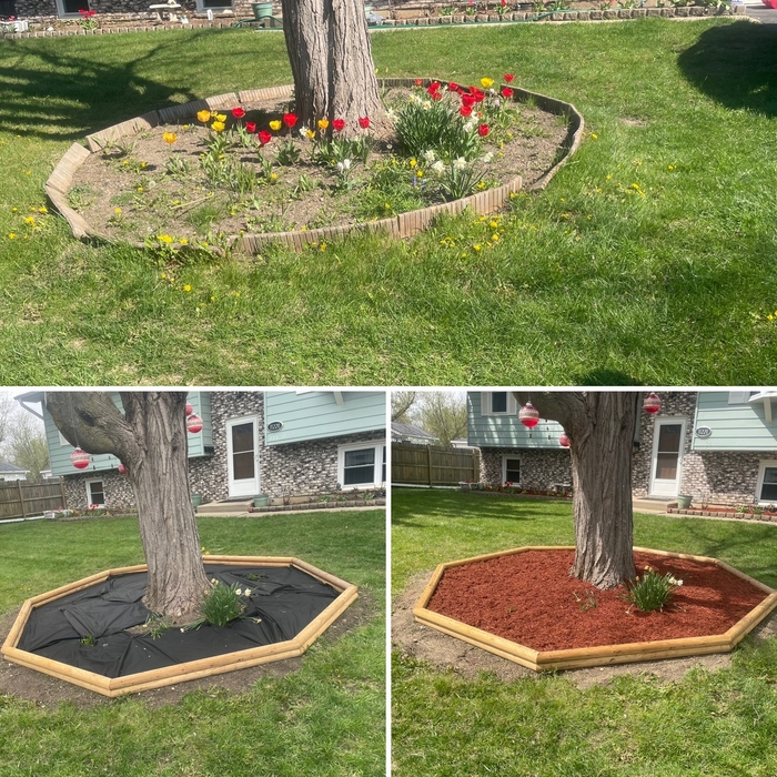 The process of removing plastic edging and replacing it with timbers