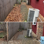 Fall Cleanup
