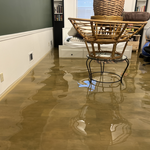 A category 3 water loss from Hurricane Helene. A category 3 water loss means that the water itself is categorized as a Cat 3 which holds a lot of bacteria. When this type floods occurs, one must do a full moisture check, remove all wet materials and execute proper drying method.