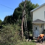 Client wanted this tree trimmed for safety purposes! Your wish is our command🫡