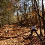 Clearing dangerous trees from a clients land so they can enjoy their peace🙏🏽