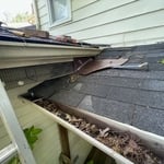 Raccoon roof repair