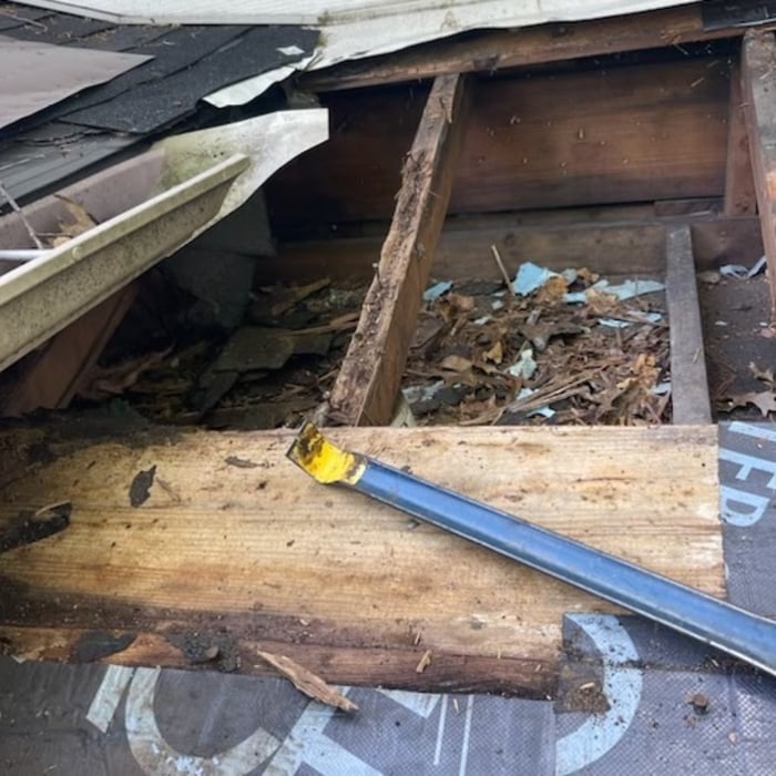 Raccoon and young tore hole in the roof damaging decking and shingles as well as soffit, removed damaged and installed new and animal proofed the area for future prevention