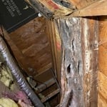 Insulation removal deodorize and disinfect