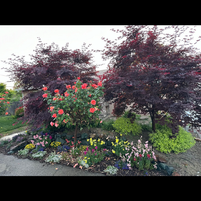 Additional Photos