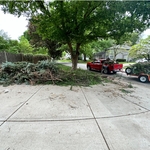 Debris Haul away