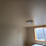 Ceiling only.