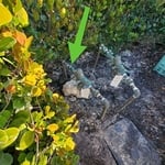 Home Inspection