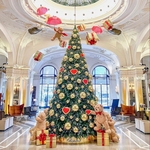 Big Xmas Trees