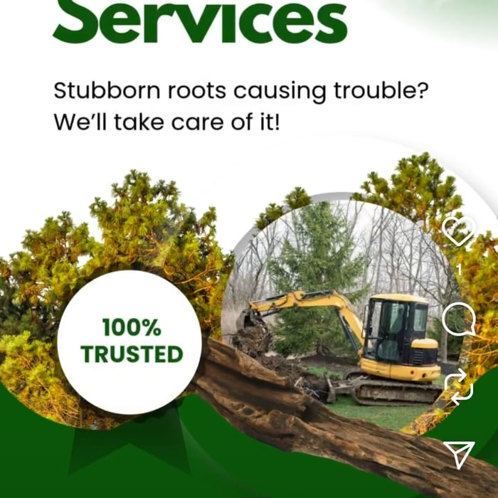 Tree trimming
