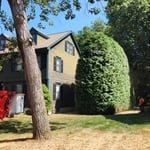 Landscaping: Tall Hedges
