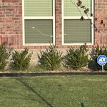Yard mowing