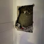 Drywall repair