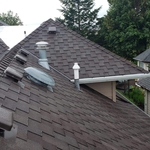 Malarkey Windsor HD Shingle