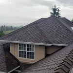 Malarkey Windsor HD Shingle