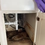 Mold remediation in kitchen cabinets