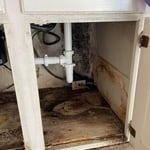 Mold remediation in kitchen cabinets