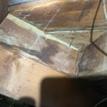 Black mold on the wood structure