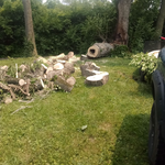 Additional Photos