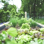 Garden Install