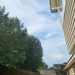 Tree Service Project
