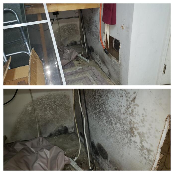Additional Photos
