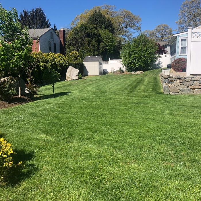 Additional Photos