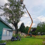 Tree Removal Project