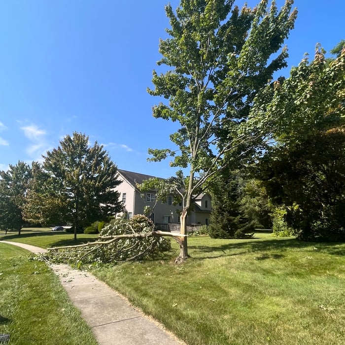 Storm Damage