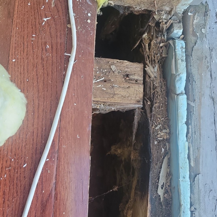 More damaged wood