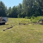 Brush Removal