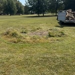 Brush Removal
