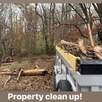 Brush Removal