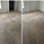 Carpet Cleaning