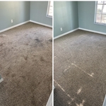 Carpet Cleaning
