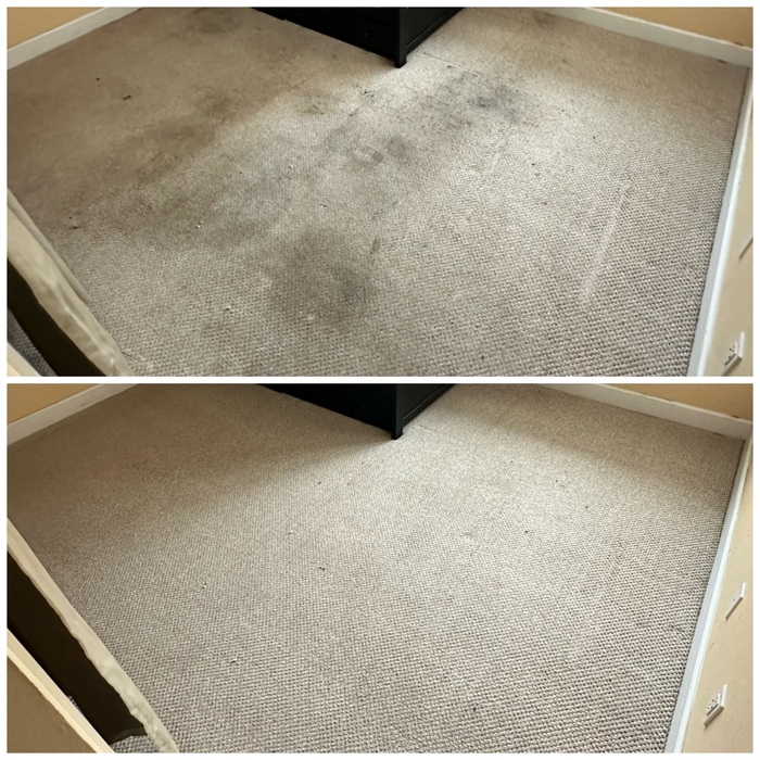 Carpet Cleaning
