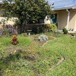 Clean Up & Mulch Refresh
