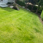 Lawn care